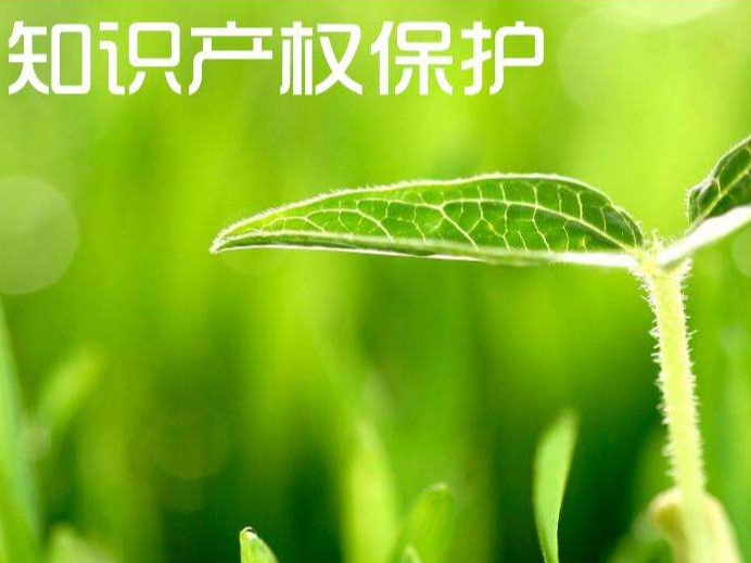 綠水青山就是金山銀山，綠色專利助推我國生態環境保護