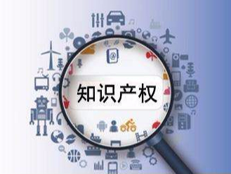 知識產權保護，助力小型企業發展